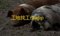 工地找工作app